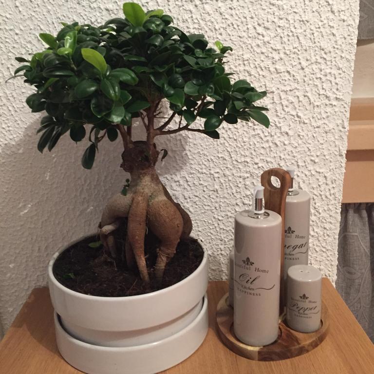 Appartamento Annamaria Ostuni Phòng bức ảnh